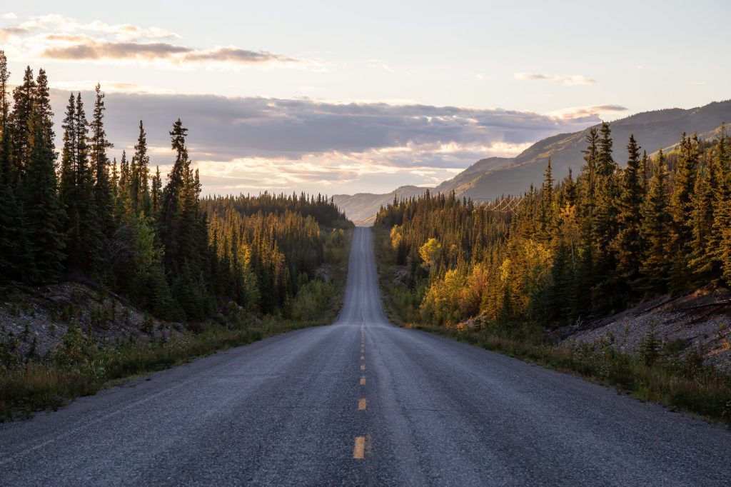 Scenic Road View